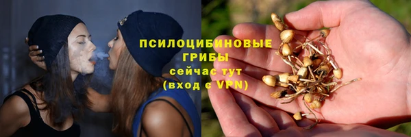 не бодяженный Инсар