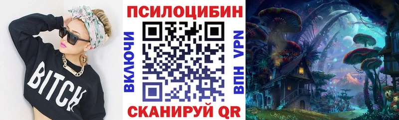 Купить закладки  Белокуриха  Галлюциногенные грибы мицелий 